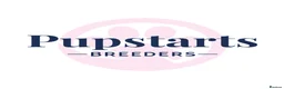 Bedlington Terrier dogs for sale: KC reg, CT clear Bedlington terrier puppies in Wrexham - Advert 8