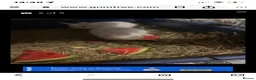 British Giant rabbits for sale: Netherland dwarf - Advert 11