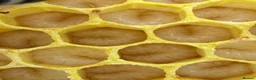 Mixed Breed invertebrates for sale: 6 Frame Overwintered National Nucleus of Bees 2027 - Advert 13