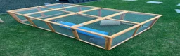 Mini Lion Lop rabbits for sale: Two mini lion lop male rabbits with full set up  - Advert 5