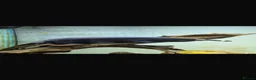 Other/Mixed Breed fish for sale: Ghost knife  - Advert 4