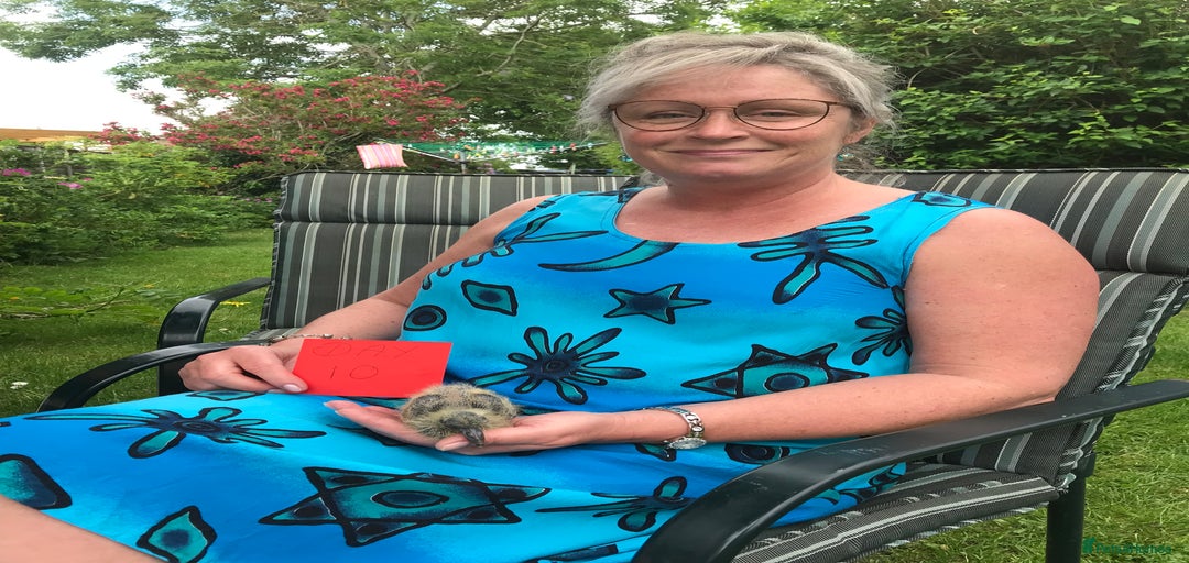 Gallery Image {{count}}