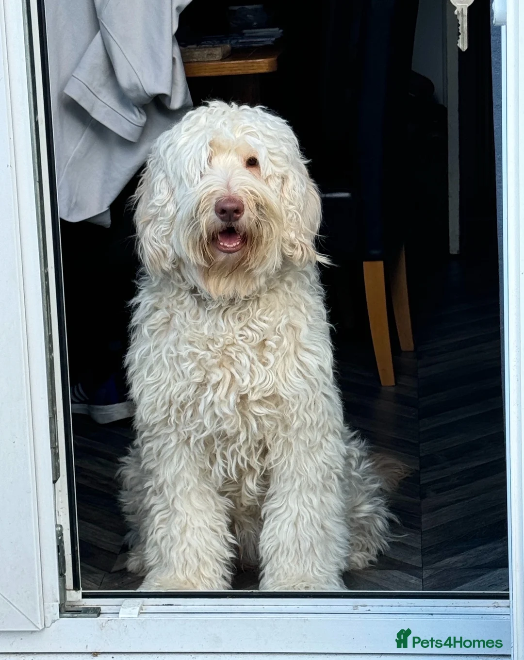 Gallery Image {{count}}