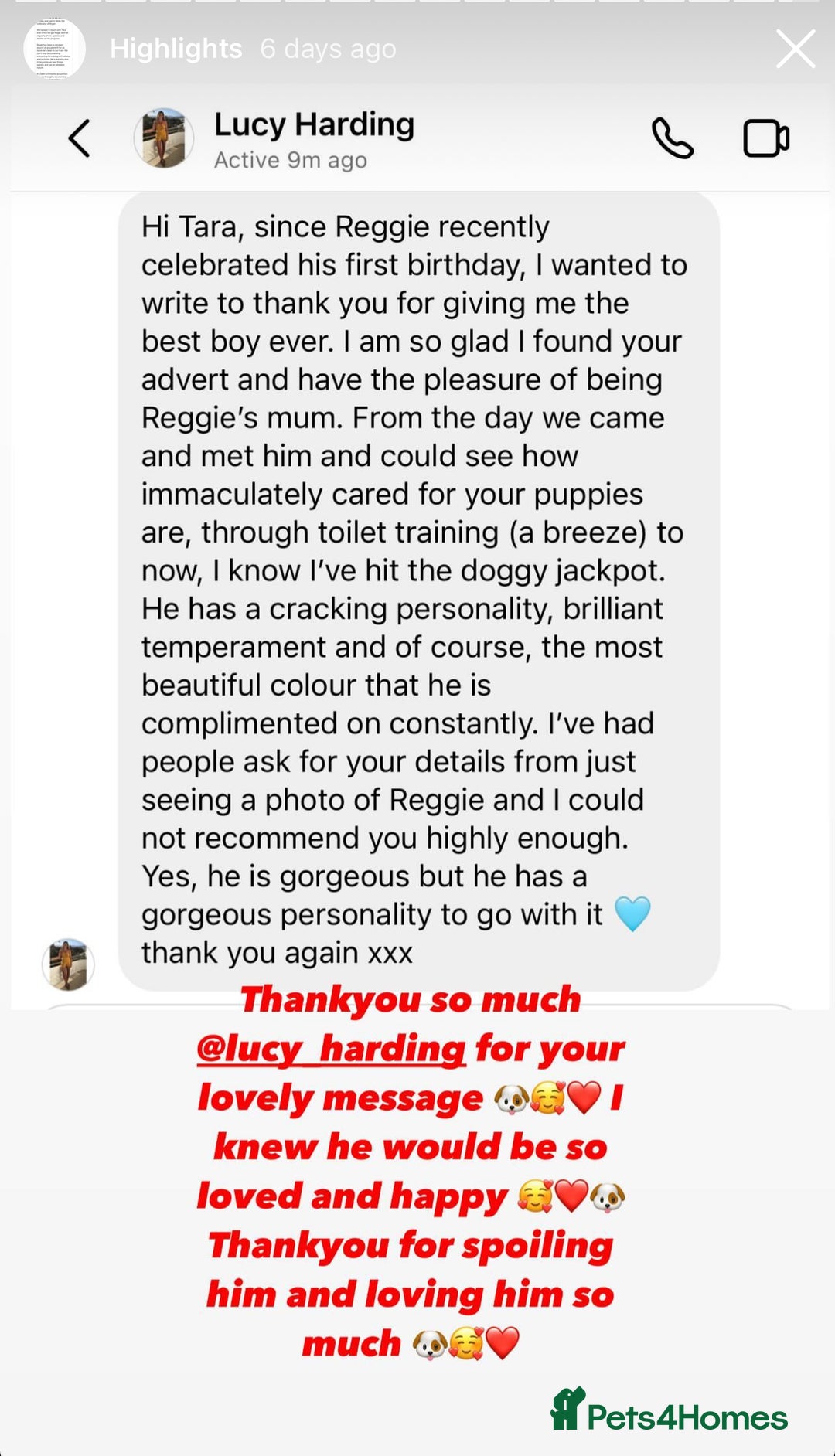 Cavapoo dogs for sale: Extensively Health Tested F1b Cavapoo Puppies  - Advert 17