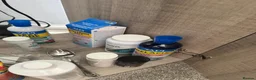 Cichlids fish for sale: Eheim vivaline 240 full set up & fish in Plymouth - Advert 5