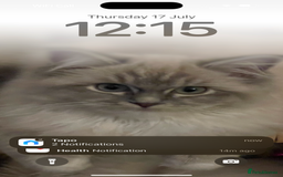 Maine Coon cats for sale: Maine Coon x Ragdoll Mix Kittens  Ready 27 Aug! 🐾 - Image 11