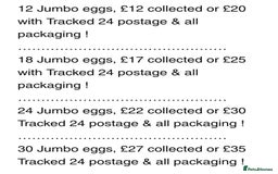 Quail poultry for sale: QUAIL HATCHING EGGS/JULY 28TH ! in Warminster - Image 34