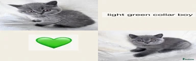 Light green boy