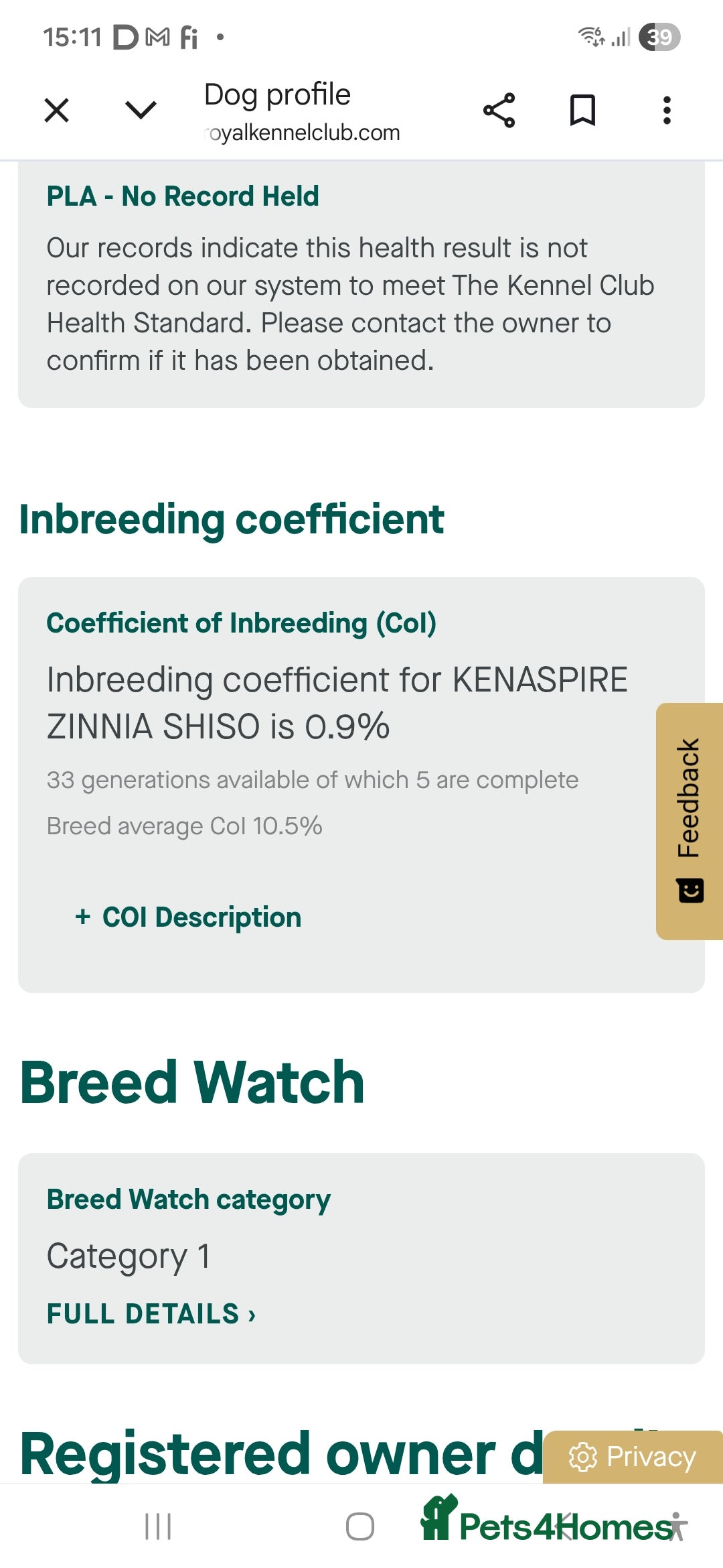 Cocker Spaniel dogs Show Cocker Spaniel K.C. Registered - Advert 4