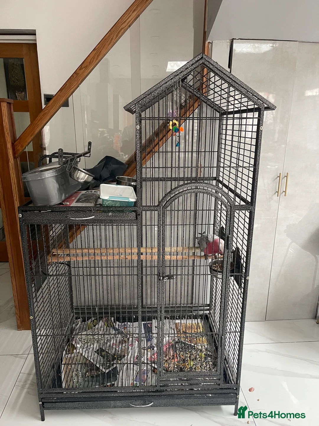Cockatoo birds for sale: 🌟 CHARMING GALAH COCKATOO WITH CAGE 🌟 - Advert 4