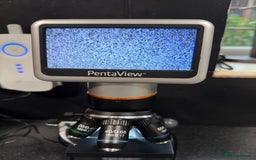 French Bulldog dogs for stud: Buch 🔥Exotic French Bulldog Stud - Image 6