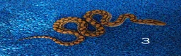 Boa Snake reptiles for sale: Colombian Rainbow Boa morphs  - Advert 13