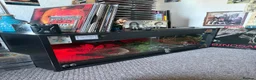 Python Snake reptiles for sale: Male Ball Python & Vivarium  in Chelmsford - Advert 6