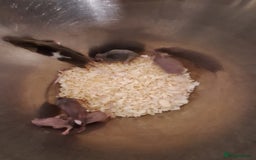 Mouse rodents for sale: Fancy pet mice for sale £8 each  - Image 7