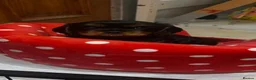 Cavalier King Charles Spaniel dogs for sale: Beautiful Cavalier King Charles Spaniel Puppies - Advert 6