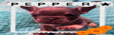Pepper