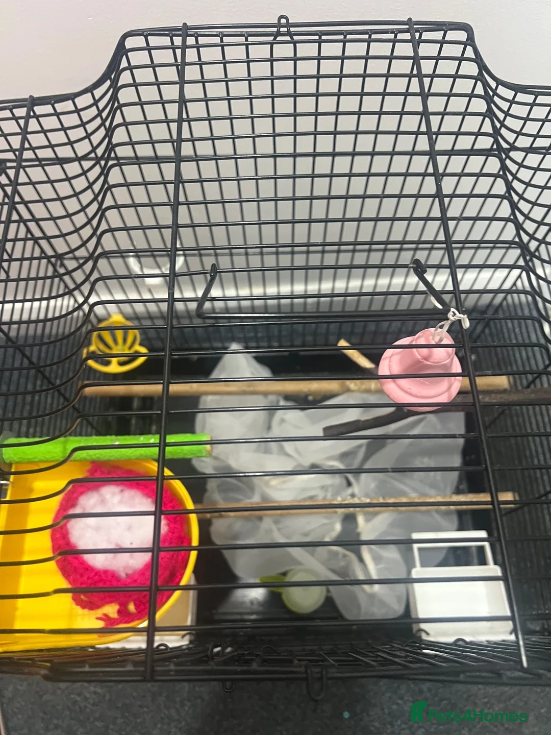 Budgerigars birds for sale: BIRD CAGE  - Advert 2