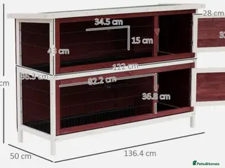 Quail poultry ANIMAL HUTCH ! - Advert 3