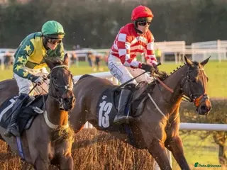 English Thoroughbred horses Racehorse for sale - Priced to sell - Advert 6