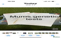 Cockapoo dogs for sale: F1 Cockapoo ( health tested parents) - Image 17