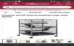 Rat rodents for sale: 2 male rats 1yr old with cage and accessories  - Image 6