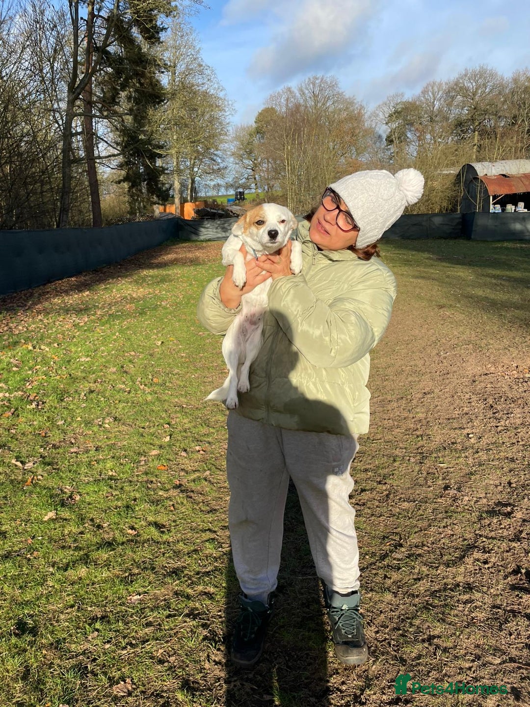Mixed Breed dogs for adoption: RONNA - a beautiful tiny girl, for a Loving Home - Advert 22