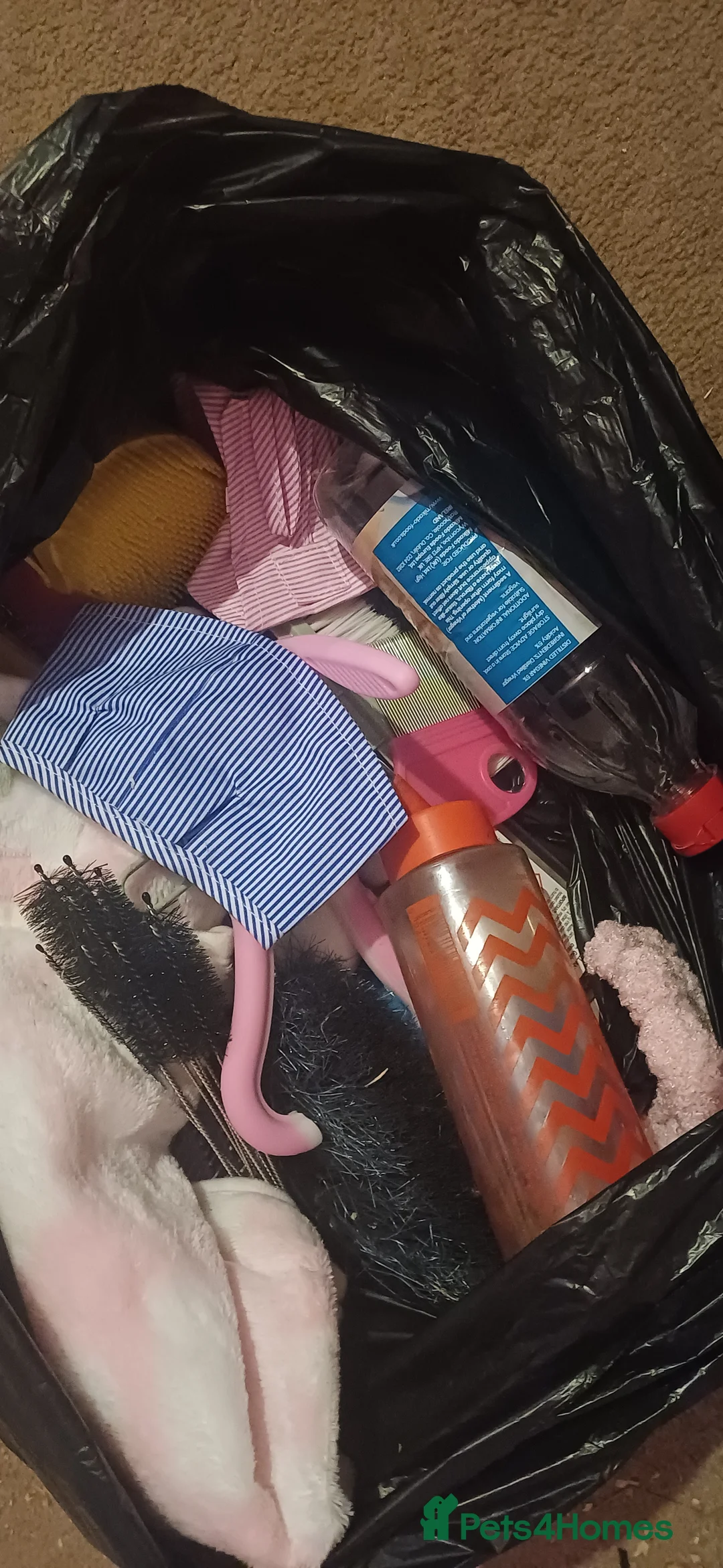 Guinea Pig rodents for sale: Cage, toys, cleaning supplies etc - Advert 2