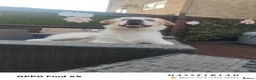 Belgian Shepherd Dog dogs for sale: Finding Teddy's forever home  in Corby - Advert 2