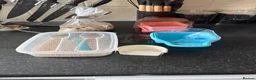 Budgerigars birds for sale: Budgies in Gateshead - Advert 4
