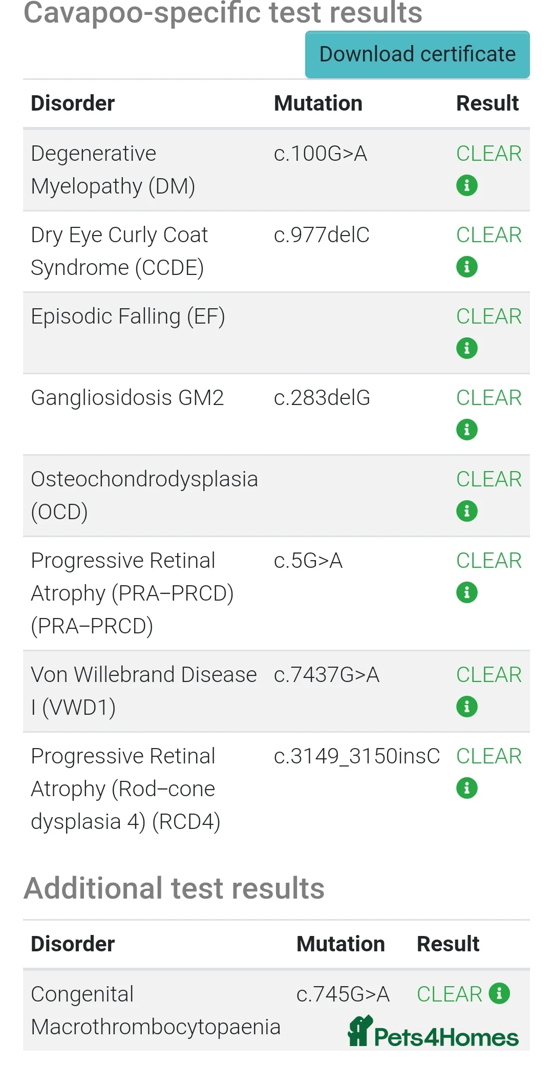 Cavapoo dogs for stud: Experienced, proven and health tested cavapoo stud in London - Advert 3