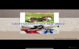 Chihuahua dogs for sale: Beautiful long coat chihuahua girl 🤎💕 - Advert 8