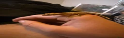 Gecko reptiles for sale: X2 baby crested gecko  in Edinburgh - Advert 3