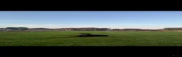 Dobermann dogs for sale: HOME BRED DOBERMAN PUPPIES in Billingshurst - Advert 7