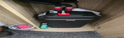 Other/Mixed Breed fish for sale: Full aquarium  - Advert 2
