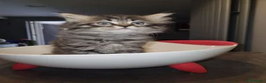 Persian 4