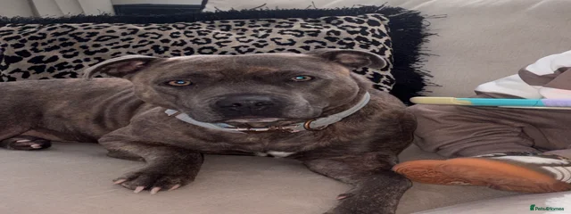 Della