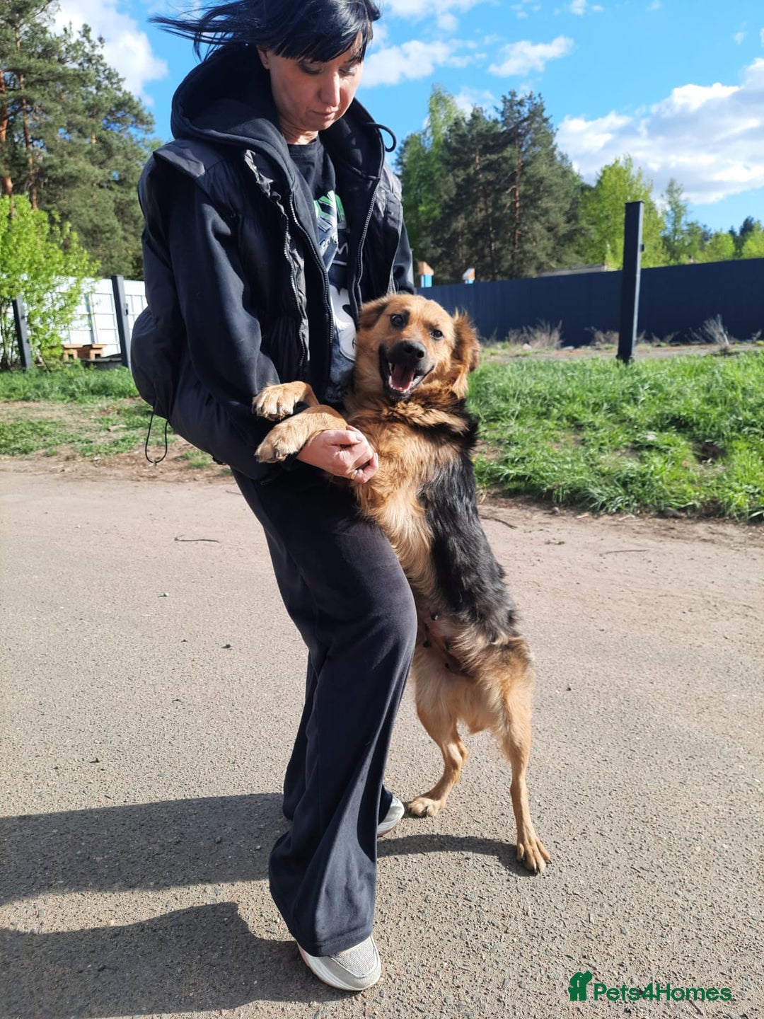 Mixed Breed dogs for adoption: 💖🐶 CHIKA 🐶💖 - Image 6