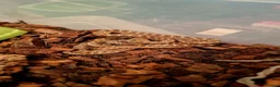 Snake reptiles for sale: Malagasy cat eyed snakes - Advert 2