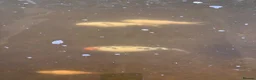 Koi Carp fish for sale: Fish pond plus fish  in Swadlincote - Advert 24