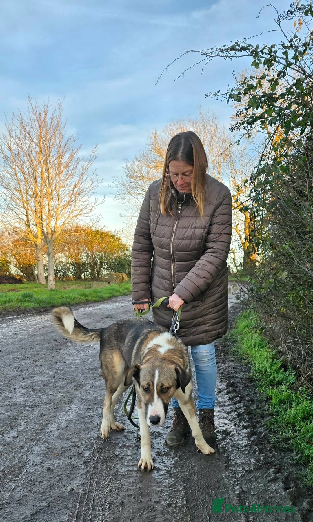 Mixed Breed dogs for adoption: BLANCA - Advert 7