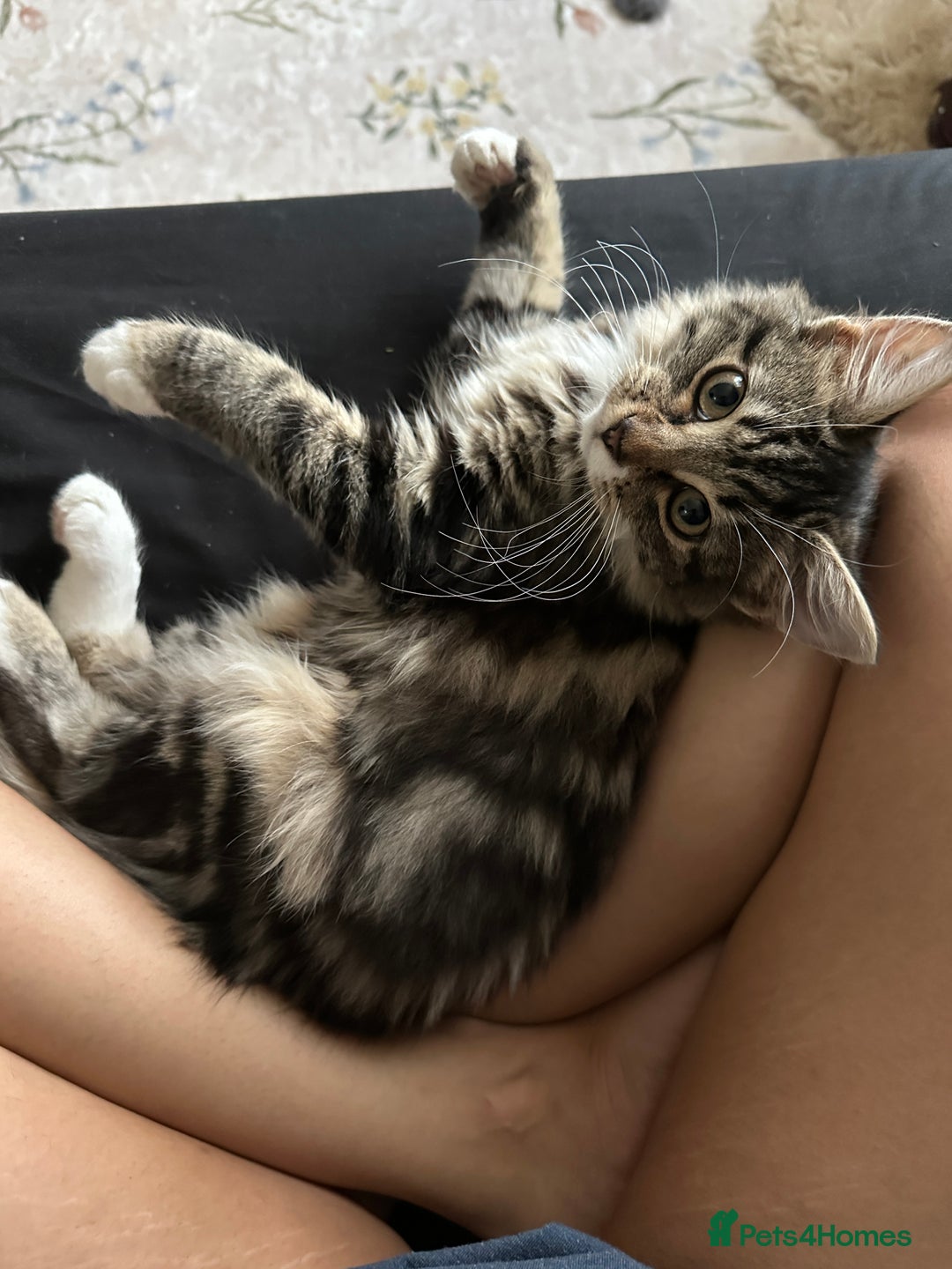 Gallery Image {{count}}