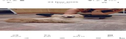 Pomeranian dogs for sale: Beautiful Pomeranian boy - Advert 7