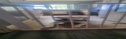 Mixed Breed dogs for sale: Americian bulldog cross  in Tipton - Advert 4