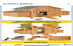 Chickens poultry for sale: 10 baby Female chickens- 14 weeks old  - Advert 9