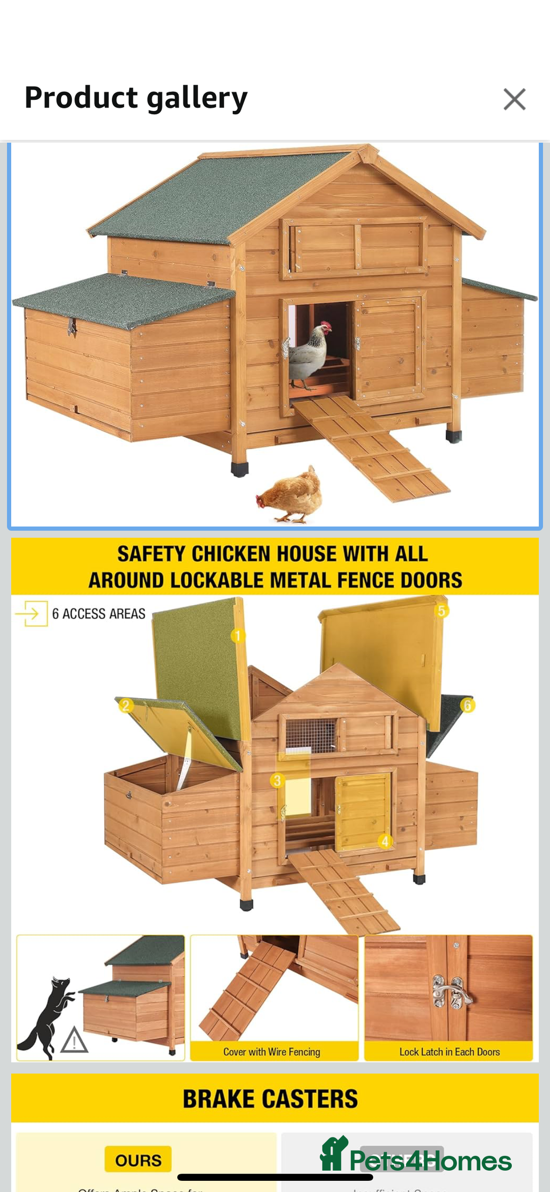 Chickens poultry for sale: 10 baby Female chickens- 14 weeks old  - Advert 9