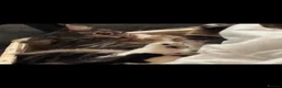 British Longhair cats for sale: Cats for sale - Advert 7