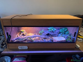 Turtle reptiles Repti-Luxe Vivarium Tank – Nearly New, Barely Used - Advert 17