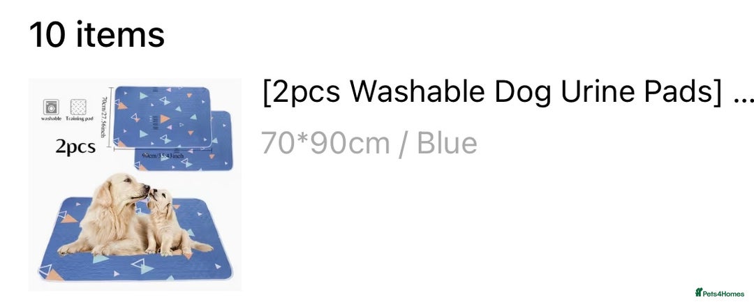 Guinea Pig rodents for sale: Two male guinea pigs with cage and accessories  - Advert 8