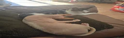 Mixed Breed cats for sale: Sphynx cross kittens  - Advert 10