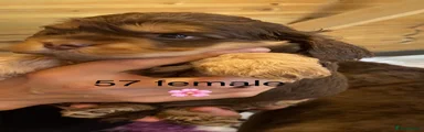 Cockapoo 4